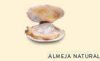 almeja natural