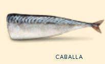 caballa en conserva,caballa