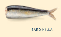 sardinilla en conserva,sardinilla