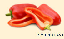 pimiento asado