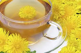Té leon cocteleria, Té leon elaborar, Té leon recetaran
