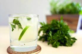 Perejil Gin elaboracion,Perejil Gin coctel,Perejil Gin Julep